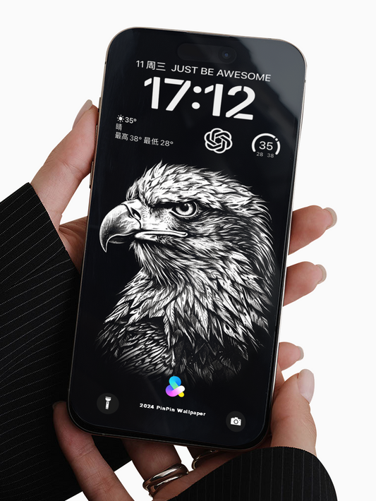 4K HD Phone Wallpaper Background - Black eagle for iPhone and Android